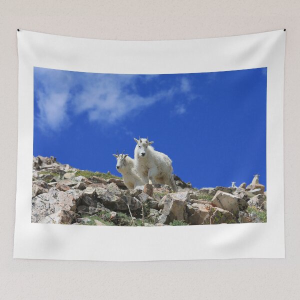 Item preview, Mountain goats designed and sold by zumi.