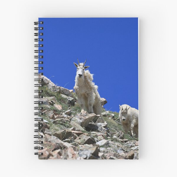 Item preview, Two Mountain goats IV designed and sold by zumi.