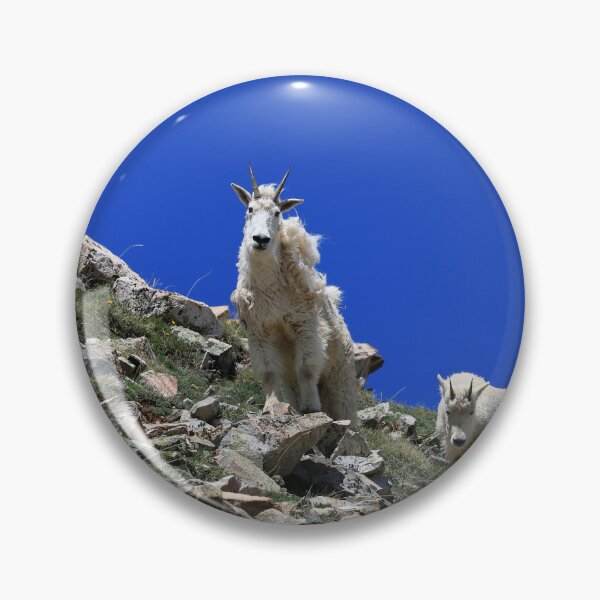 Item preview, Two Mountain goats IV designed and sold by zumi.