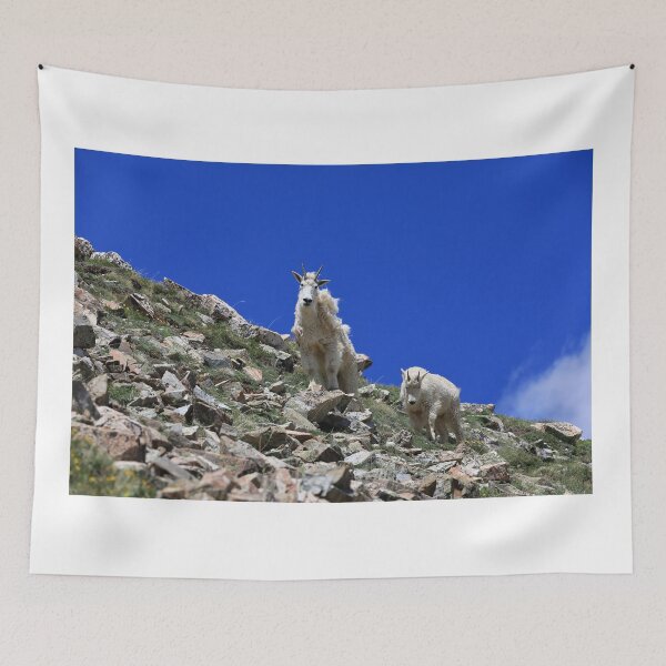 Item preview, Two Mountain goats IV designed and sold by zumi.