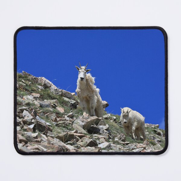 Item preview, Two Mountain goats IV designed and sold by zumi.