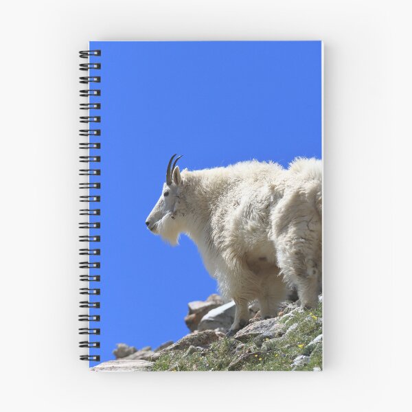 Item preview, Mountain goat II designed and sold by zumi.