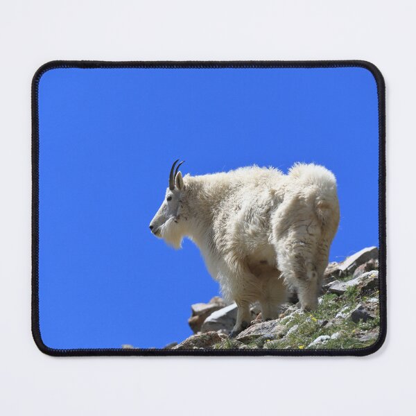 Item preview, Mountain goat II designed and sold by zumi.