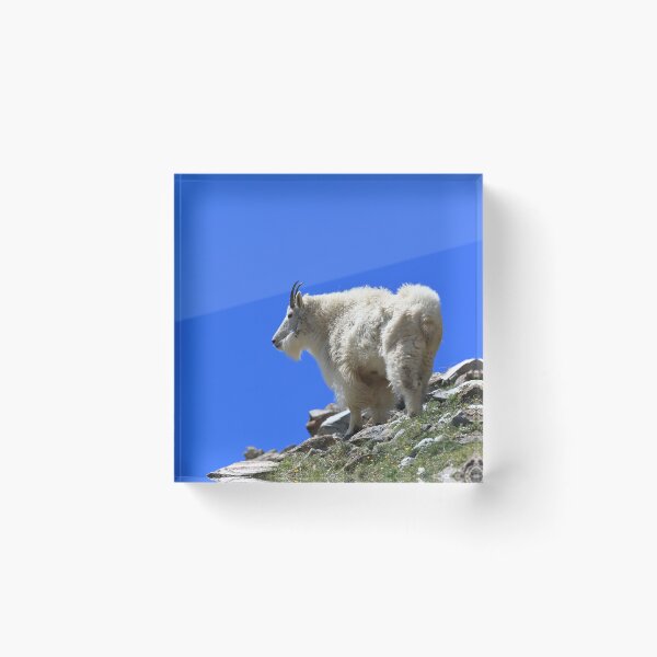 Item preview, Mountain goat II designed and sold by zumi.