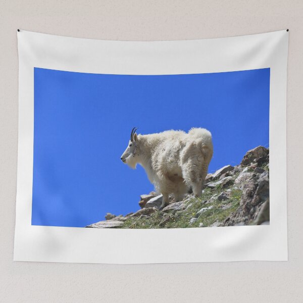 Item preview, Mountain goat II designed and sold by zumi.