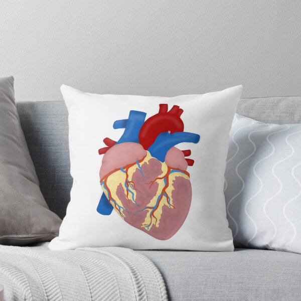 Item preview, Anatomical Heart designed and sold by BrokenHeartGirl3.