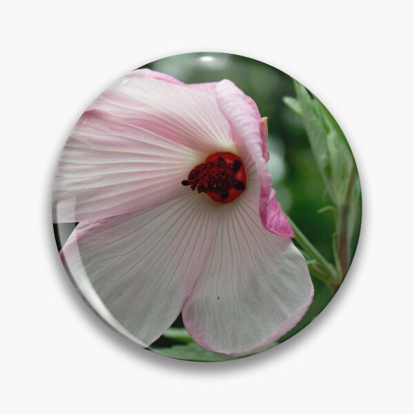 Item preview, Hibiscus Barambah Creek Flower designed and sold by Linda Sijpkes.