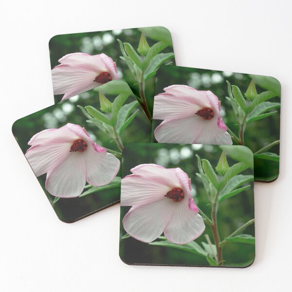 Item preview, Hibiscus Barambah Creek Flower designed and sold by Linda Sijpkes.