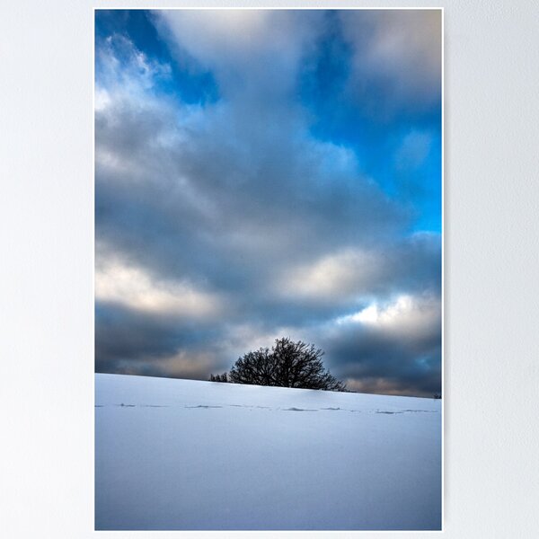 Item preview, The End of Winter designed and sold by Adam Bykowski.