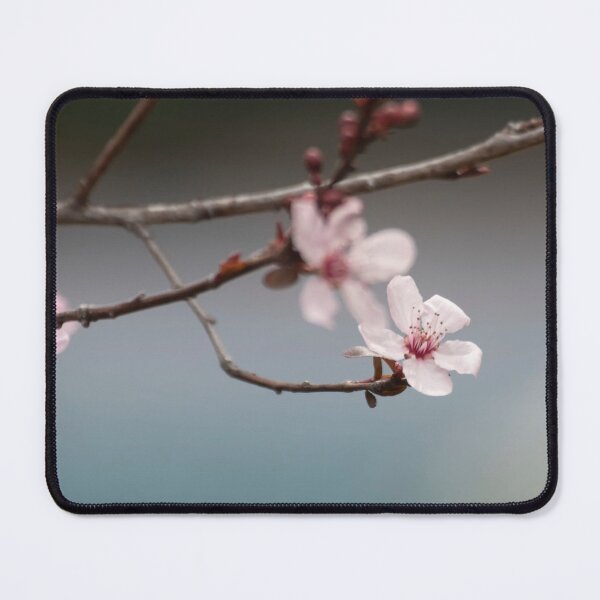 Item preview, Dainty plum blossom designed and sold by Ruth Jolly.