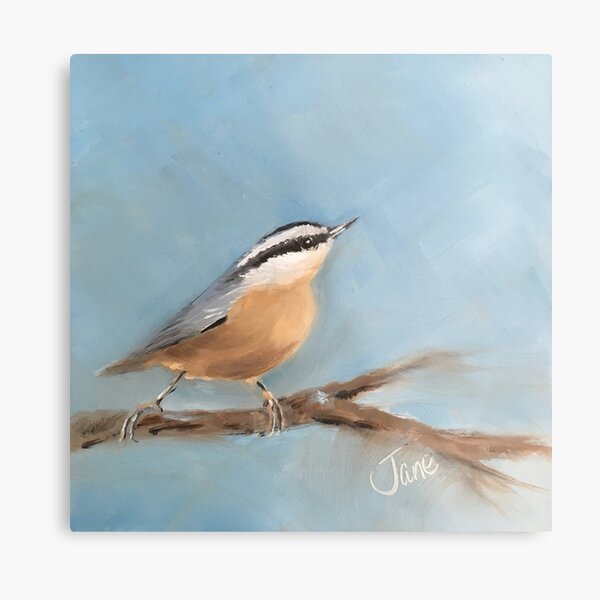 The Nuthatch Metal Print