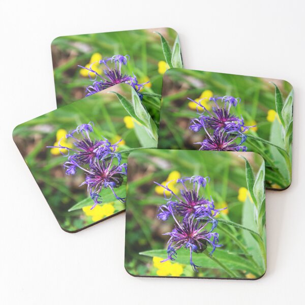 Item preview, Perennial Cornflower designed and sold by Alternative Perspectives.