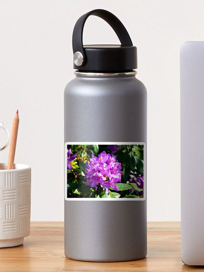 Thumbnail 1 of 3, Sticker, Rhododendron Flower designed and sold by SiobhanFraser.
