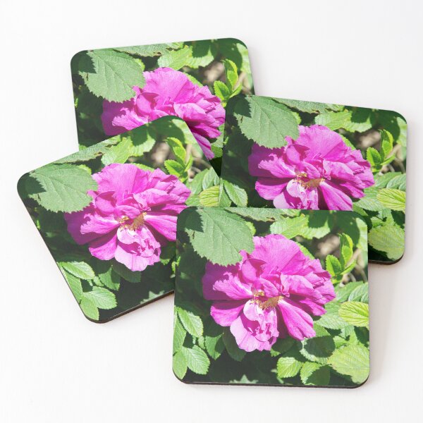 Item preview, Rosa Rugosa designed and sold by Alternative Perspectives.