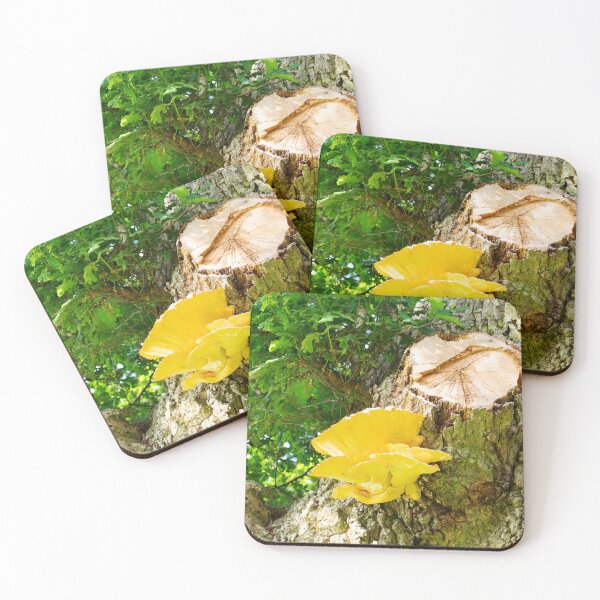 Item preview, Suphur Polypore designed and sold by Alternative Perspectives.