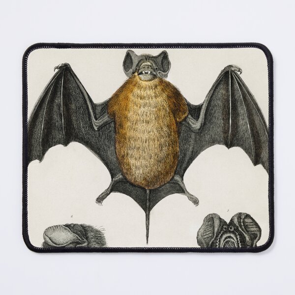 Item preview, Vintage Bats Illustration - Halloween Gifts designed and sold by leafsquare.