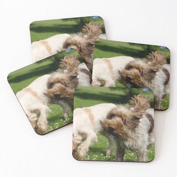 Item preview, Head Shake Spinone by heidiannemorris designed and sold by FOLK ART FUSION by heidiannemorris.