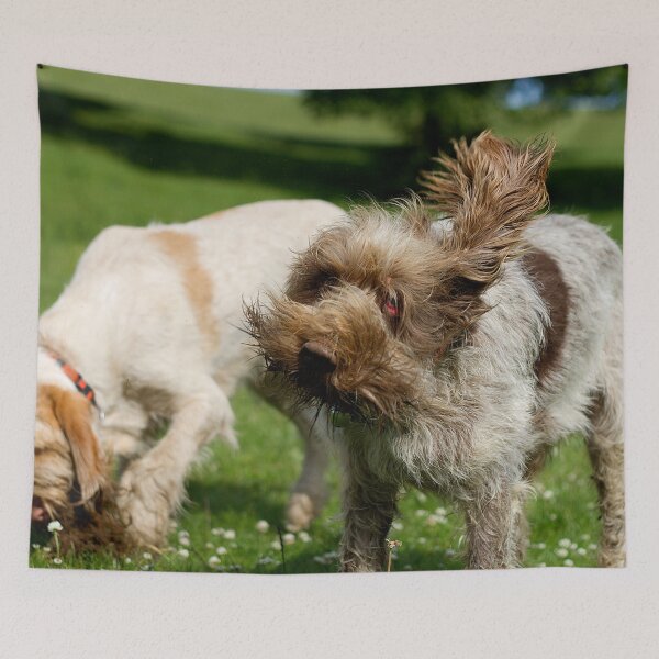 Item preview, Head Shake Spinone by heidiannemorris designed and sold by FOLK ART FUSION by heidiannemorris.