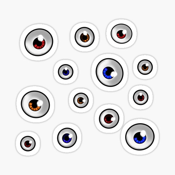 Anatomy eyeballs