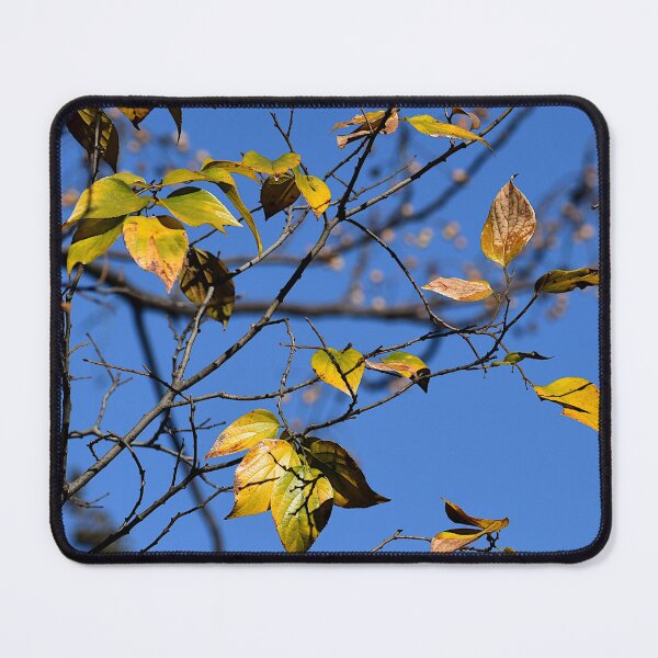 Aperçu de l'œuvre Feuilles d'automne créée et vendue par PictureFarm.