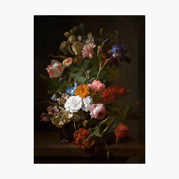 Still Life with Flowers and a Cricket by Rachel Ruysch 1700 Photographic Print