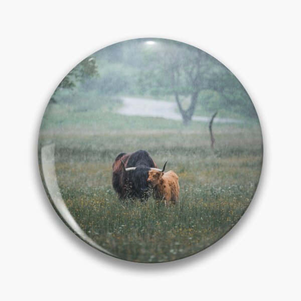Item preview, Scotland Highland Cows Print designed and sold by David French.