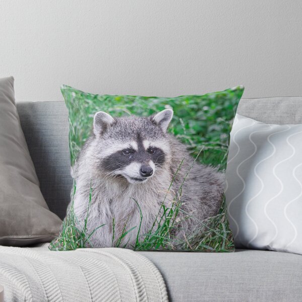 Item preview, raccoon, (Procyon lotor), sitting on green grass designed and sold by Martin Leber.