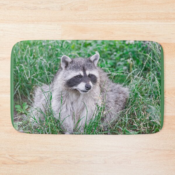 Item preview, raccoon, (Procyon lotor), sitting on green grass designed and sold by Martin Leber.