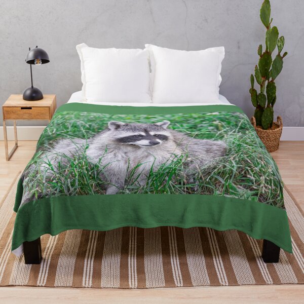 Item preview, raccoon, (Procyon lotor), sitting on green grass designed and sold by Martin Leber.