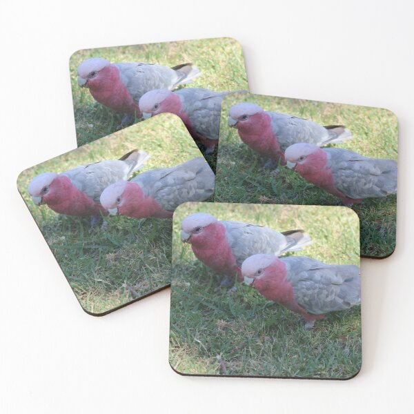Item preview, Galahs designed and sold by irened71.