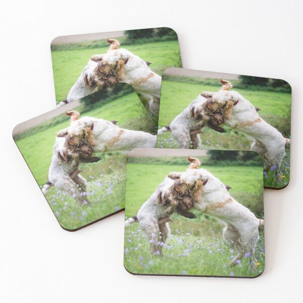 Item preview, Wildflower play fight Spinoni by heidiannemorris designed and sold by FOLK ART FUSION by heidiannemorris.