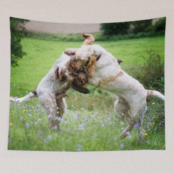 Item preview, Wildflower play fight Spinoni by heidiannemorris designed and sold by FOLK ART FUSION by heidiannemorris.