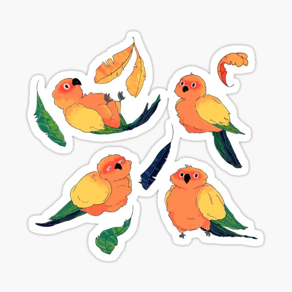 Sun Conure Pattern Sticker