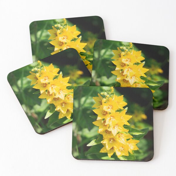 Item preview, Yellow Loosestrife designed and sold by Alternative Perspectives.