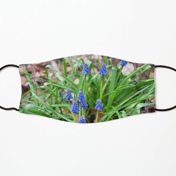 Grape Hyacinth Kids Mask