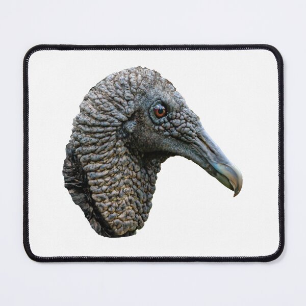 Item preview, Head of a Black Vulture designed and sold by Dalyndigital Photography.