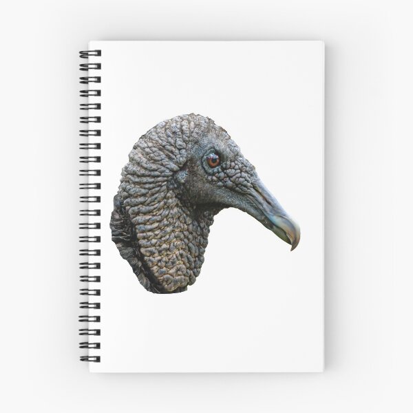 Item preview, Head of a Black Vulture designed and sold by Dalyndigital Photography.