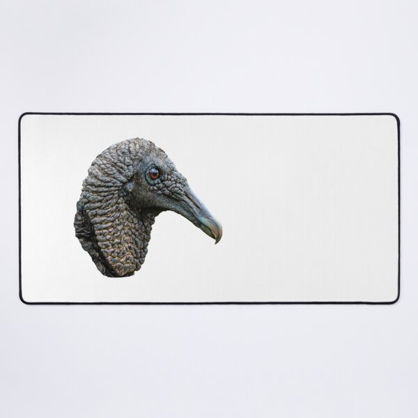 Item preview, Head of a Black Vulture designed and sold by Dalyndigital Photography.
