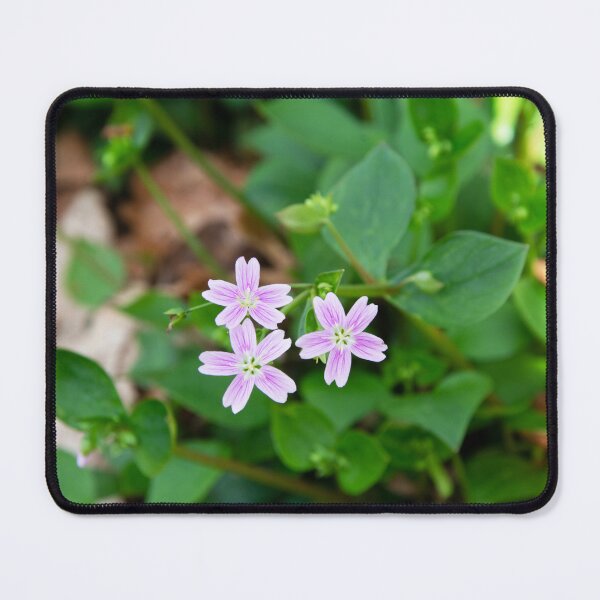 Item preview, Pink Purslane designed and sold by Alternative Perspectives.