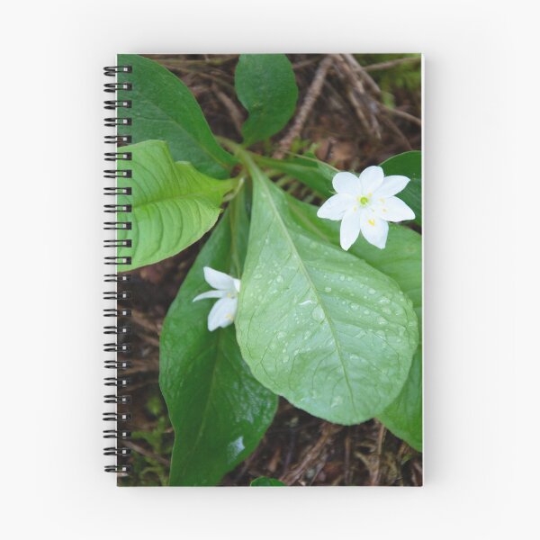 Item preview, Chickweed-wintergreen designed and sold by Alternative Perspectives.