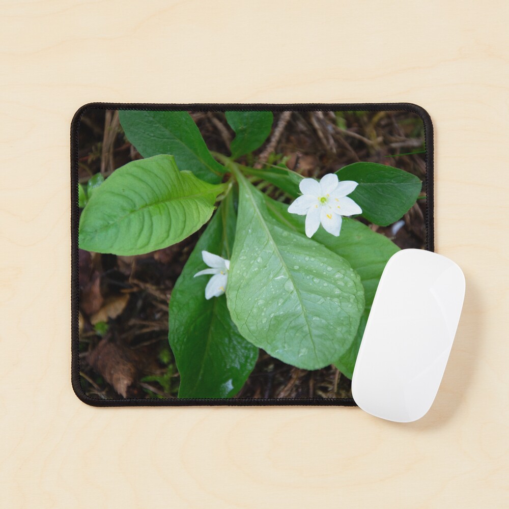 Item preview, Mouse Pad designed and sold by SiobhanFraser.