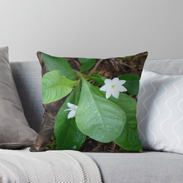 Item preview, Chickweed-wintergreen designed and sold by Alternative Perspectives.
