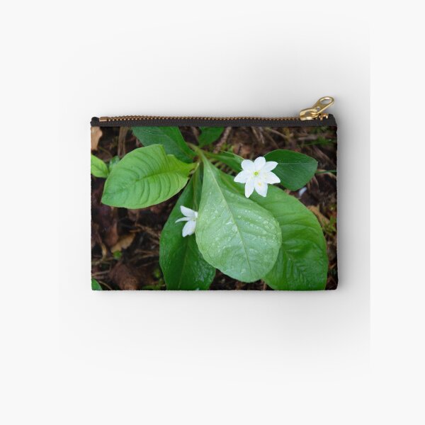 Item preview, Chickweed-wintergreen designed and sold by Alternative Perspectives.