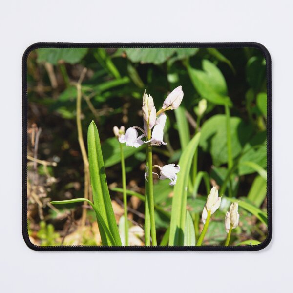 Item preview, Insect on White Bluebells designed and sold by Alternative Perspectives.