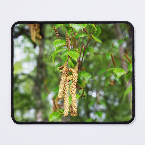 Item preview, Downy Birch Catkins designed and sold by Alternative Perspectives.