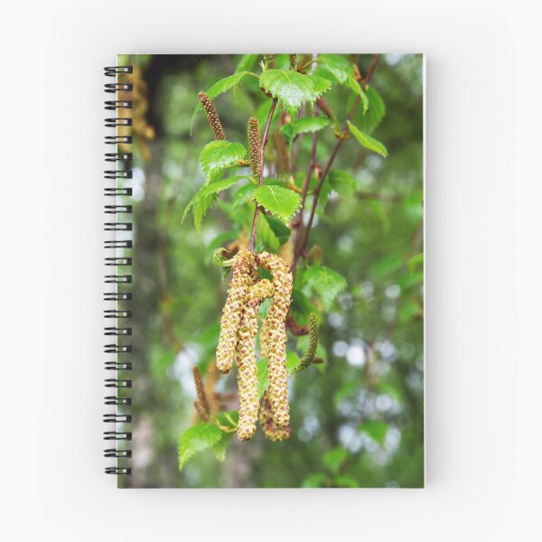 Item preview, Downy Birch Catkins designed and sold by Alternative Perspectives.