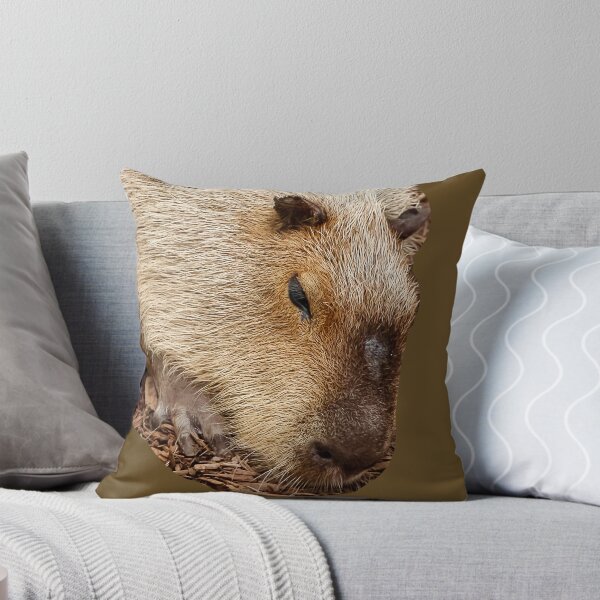 Item preview, Just Dozing Capybara designed and sold by Dalyndigital Photography.