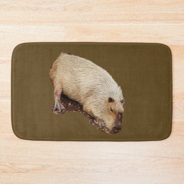 Item preview, Just Dozing Capybara designed and sold by Dalyndigital Photography.