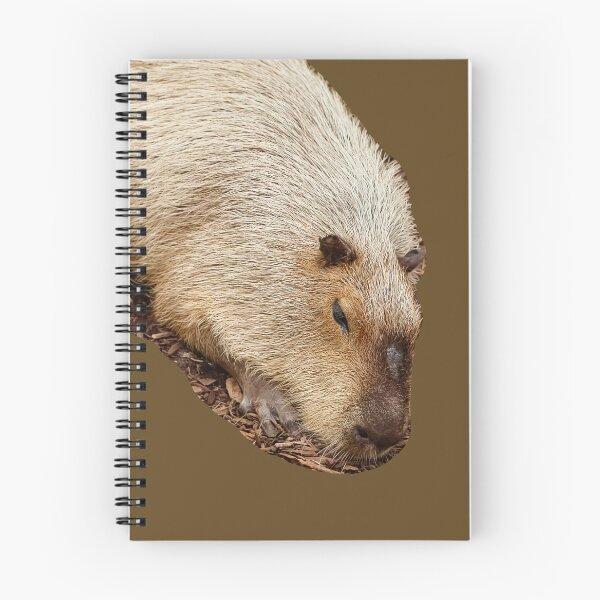Item preview, Just Dozing Capybara designed and sold by Dalyndigital Photography.