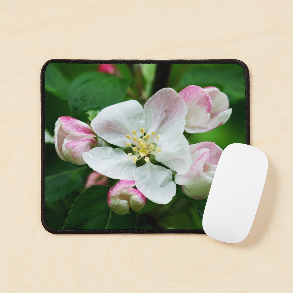 Item preview, Mouse Pad designed and sold by SiobhanFraser.